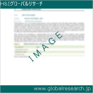 グローバルリサーチ調査レポートのイメージ